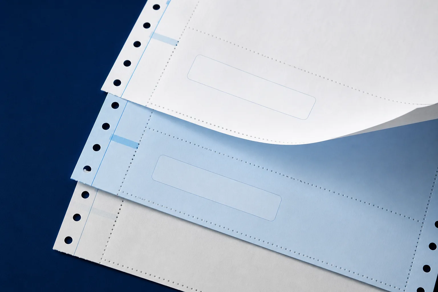 Strati di carta continua bianca e azzurra con microperforazioni e fori laterali